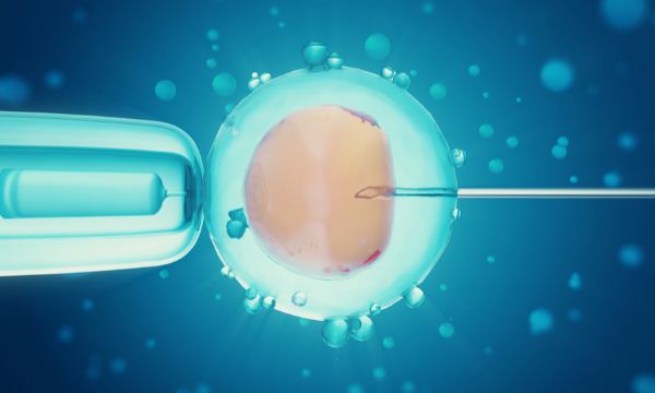 鲜胚移植怎么知道着床？着床成功有什么症状